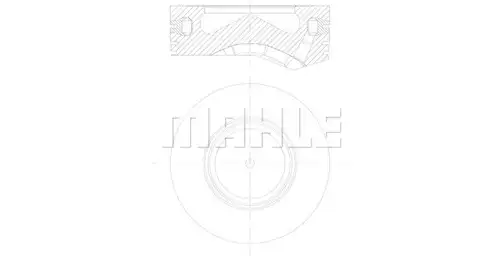 бутало MAHLE 081 PI 00105 000