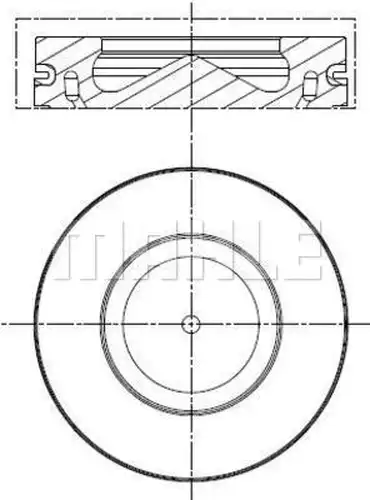 бутало MAHLE 081 PI 00113 000