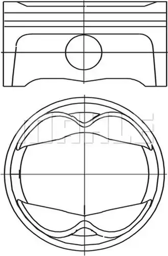 бутало MAHLE 503 PI 00101 000