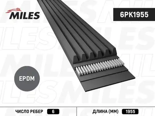 пистов ремък MILES 6PK1955