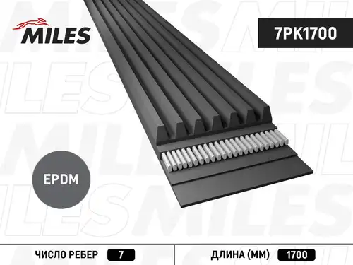 пистов ремък MILES 7PK1700