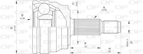 каре комплект, полуоска OPEN PARTS CVJ5580.10