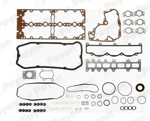 пълен комплект гарнитури, двигател PAYEN FB5721
