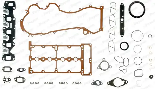 пълен комплект гарнитури, двигател PAYEN FD5820