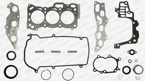 пълен комплект гарнитури, двигател PAYEN FG5290