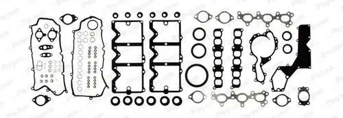 пълен комплект гарнитури, двигател PAYEN FG9770