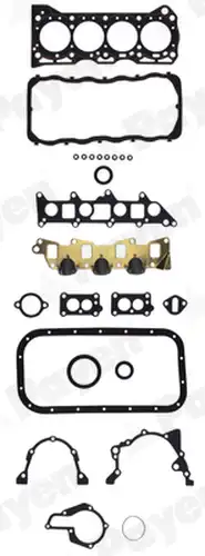 пълен комплект гарнитури, двигател PAYEN GN481