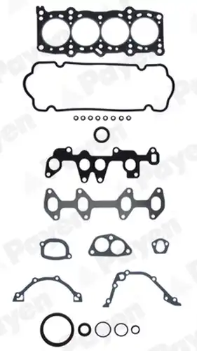 пълен комплект гарнитури, двигател PAYEN GV670
