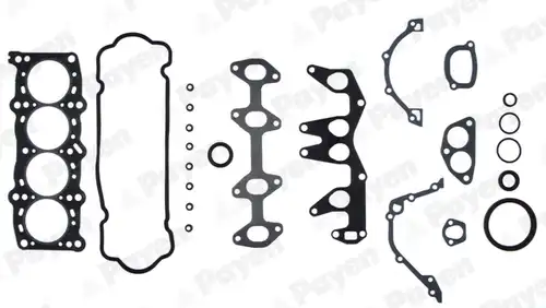 пълен комплект гарнитури, двигател PAYEN GV671