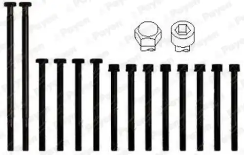 комплект болтове на капака на клап. (на цилиндровата глава) PAYEN HBS010