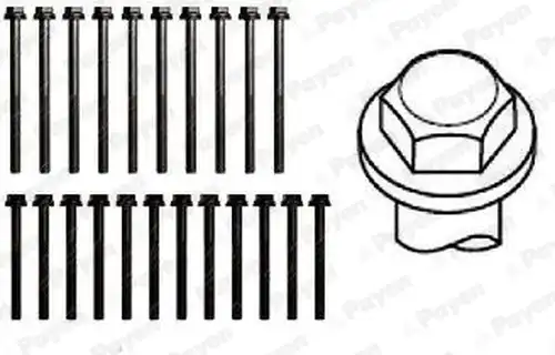 комплект болтове на капака на клап. (на цилиндровата глава) PAYEN HBS011
