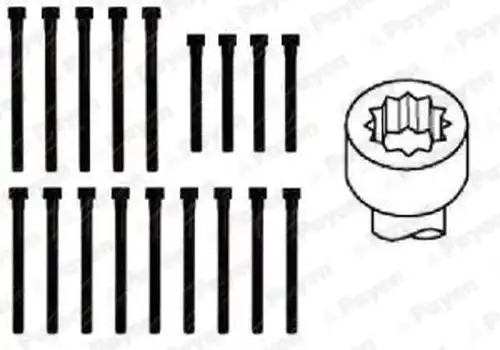 комплект болтове на капака на клап. (на цилиндровата глава) PAYEN HBS058
