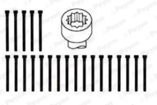 комплект болтове на капака на клап. (на цилиндровата глава) PAYEN HBS062