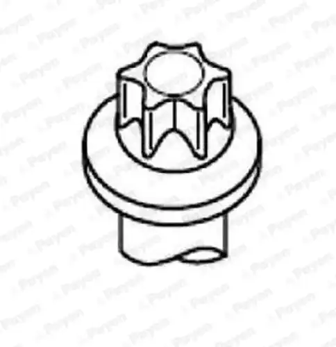 комплект болтове на капака на клап. (на цилиндровата глава) PAYEN HBS120