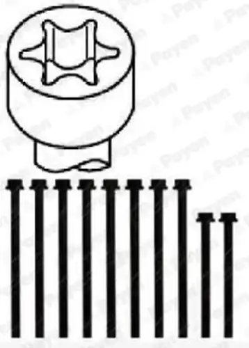комплект болтове на капака на клап. (на цилиндровата глава) PAYEN HBS243