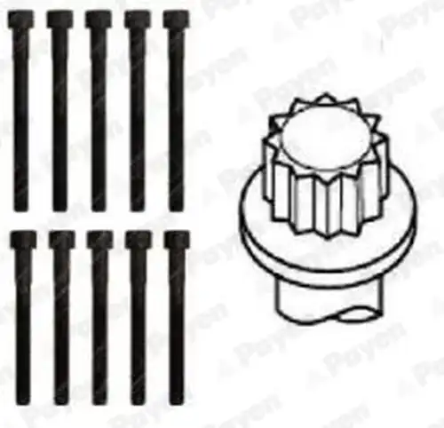 комплект болтове на капака на клап. (на цилиндровата глава) PAYEN HBS306