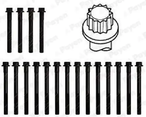 комплект болтове на капака на клап. (на цилиндровата глава) PAYEN HBS315