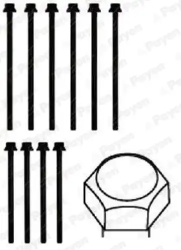 комплект болтове на капака на клап. (на цилиндровата глава) PAYEN HBS391