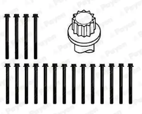 комплект болтове на капака на клап. (на цилиндровата глава) PAYEN HBS491