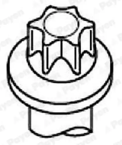 комплект болтове на капака на клап. (на цилиндровата глава) PAYEN HBS534