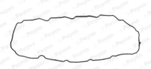 комплект гарнитури, капак на цилиндровата глава PAYEN HM5064