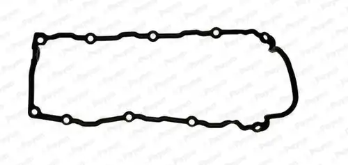 гарнитура, капак на цилиндрова глава PAYEN JM5099