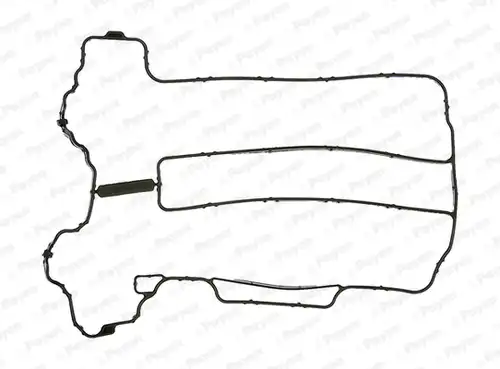 гарнитура, капак на цилиндрова глава PAYEN JM5121