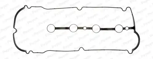 гарнитура, капак на цилиндрова глава PAYEN JM5287
