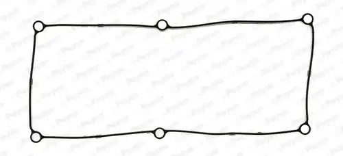 гарнитура, капак на цилиндрова глава PAYEN JM5306