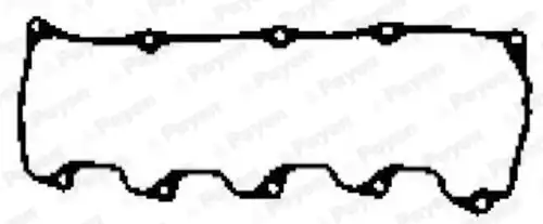 гарнитура, капак на цилиндрова глава PAYEN JN965