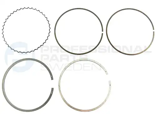 комплект сегменти Professional Parts 21435152