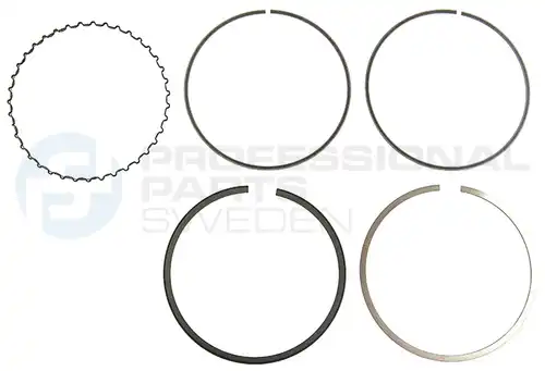 комплект сегменти Professional Parts 21435153