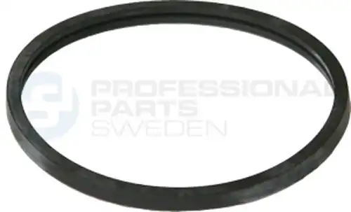 уплътнение, термостат Professional Parts 21438375