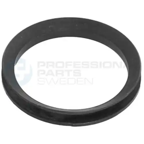 семеринг, задвижващ вал Professional Parts 77436135