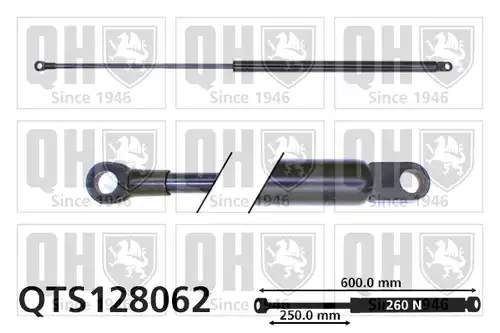 газов амортисьор, багажно/товарно пространство QUINTON HAZELL QTS128062