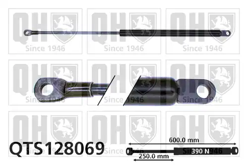 газов амортисьор, багажно/товарно пространство QUINTON HAZELL QTS128069