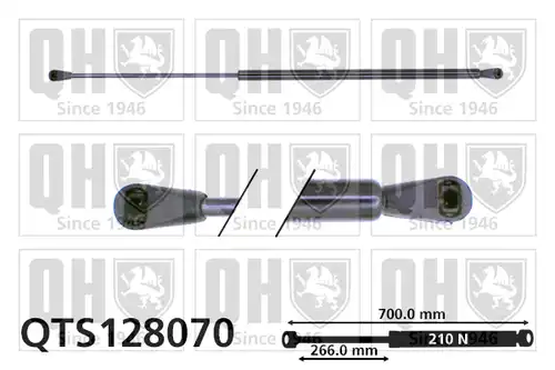 газов амортисьор, багажно/товарно пространство QUINTON HAZELL QTS128070