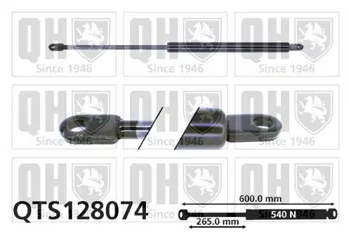 газов амортисьор, багажно/товарно пространство QUINTON HAZELL QTS128074