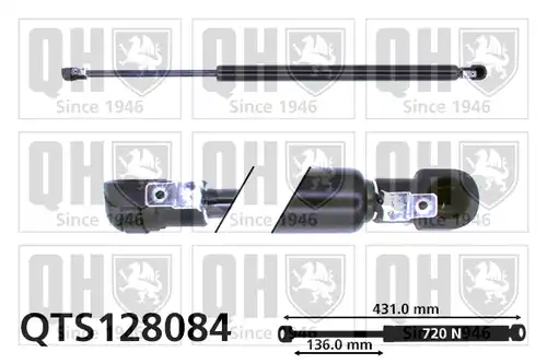 газов амортисьор, багажно/товарно пространство QUINTON HAZELL QTS128084