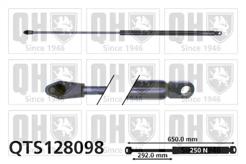 газов амортисьор, багажно/товарно пространство QUINTON HAZELL QTS128098