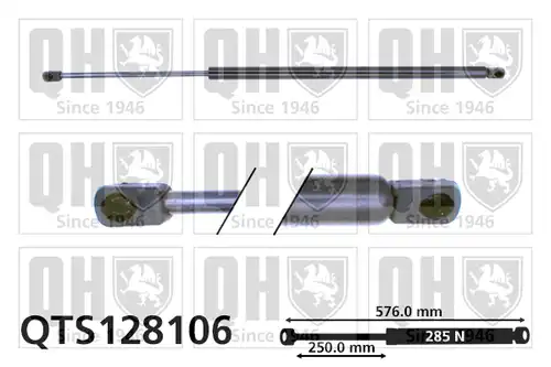 газов амортисьор, багажно/товарно пространство QUINTON HAZELL QTS128106