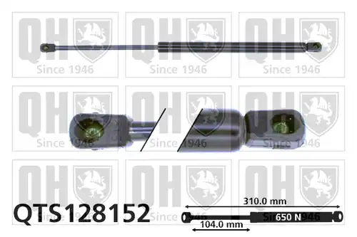 газов амортисьор, багажно/товарно пространство QUINTON HAZELL QTS128152