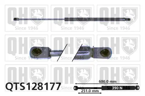 газов амортисьор, багажно/товарно пространство QUINTON HAZELL QTS128177