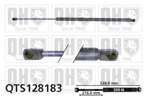 газов амортисьор, багажно/товарно пространство QUINTON HAZELL QTS128183