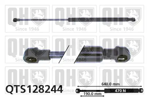 газов амортисьор, багажно/товарно пространство QUINTON HAZELL QTS128244