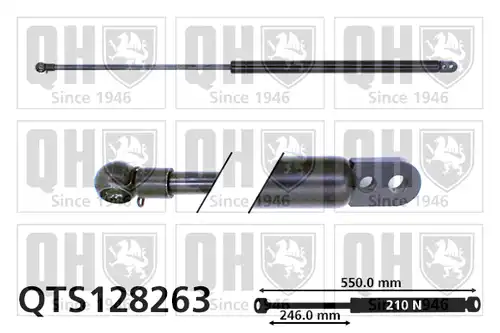 газов амортисьор, багажно/товарно пространство QUINTON HAZELL QTS128263