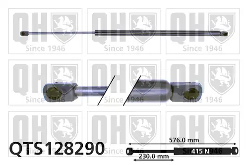 газов амортисьор, багажно/товарно пространство QUINTON HAZELL QTS128290