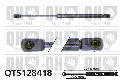 газов амортисьор, багажно/товарно пространство QUINTON HAZELL QTS128418