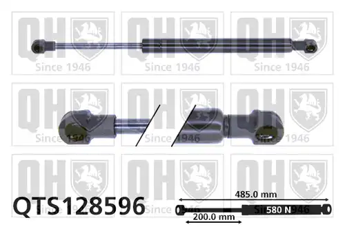 газов амортисьор, багажно/товарно пространство QUINTON HAZELL QTS128596