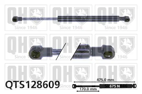 газов амортисьор, багажно/товарно пространство QUINTON HAZELL QTS128609